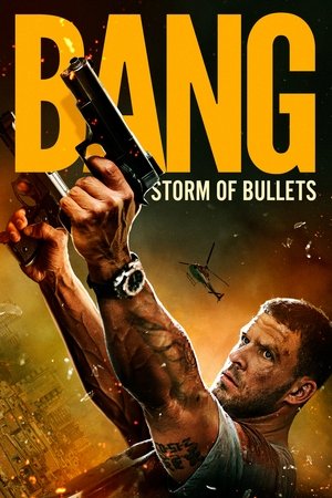 Bang (2025) Hindi (MULTI AUDIO) – – HD Poster Download - filmyfly